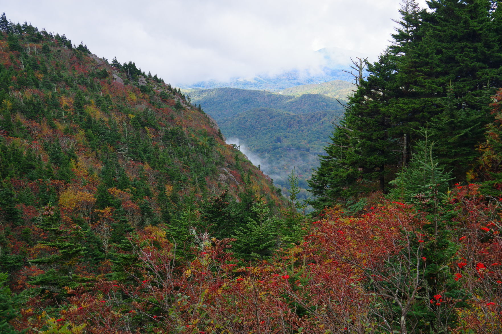 Fall Colors3
